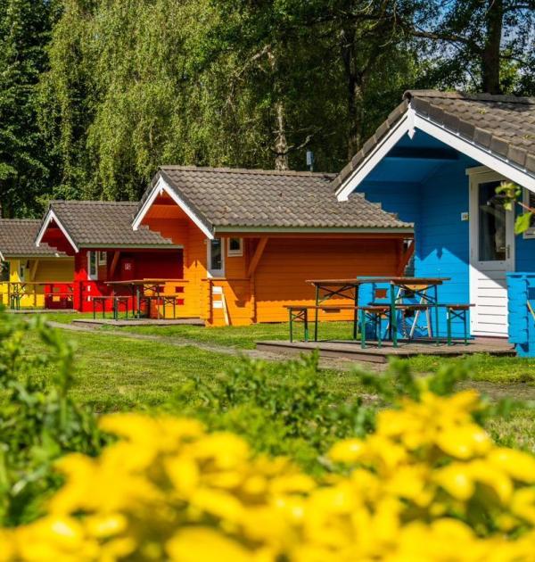 Hoofdfoto Europarcs Het Amsterdamse Bos