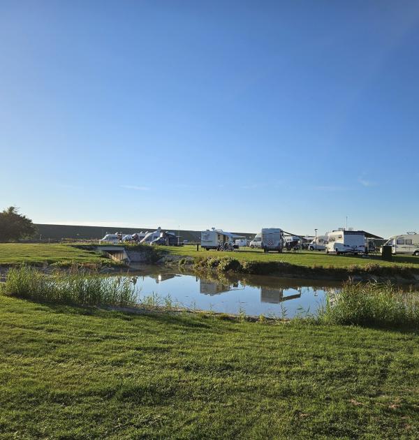 Hoofdfoto Camping De Zeehoeve