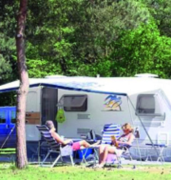 Hoofdfoto Ardoer Camping En Bungalowpark De Haeghehorst