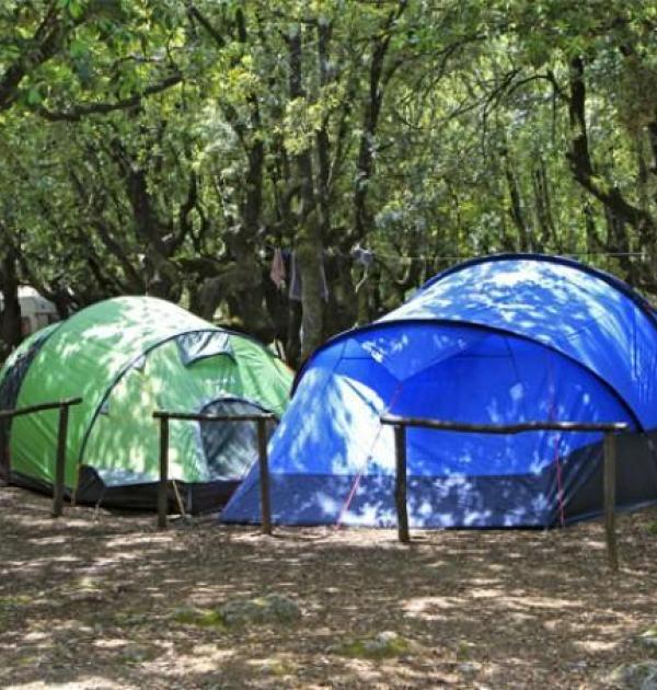 Hoofdfoto Camping Boschetto Di Piemma