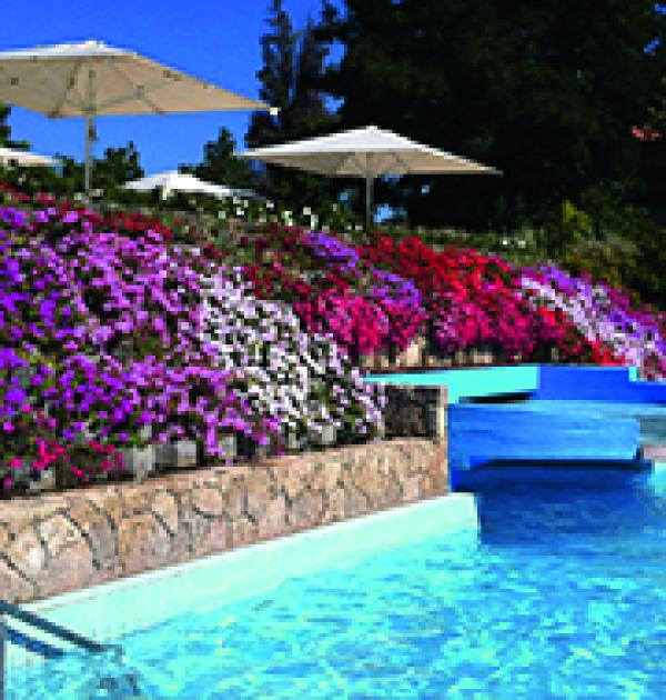 Hoofdfoto Camping Village Parco Delle Piscine