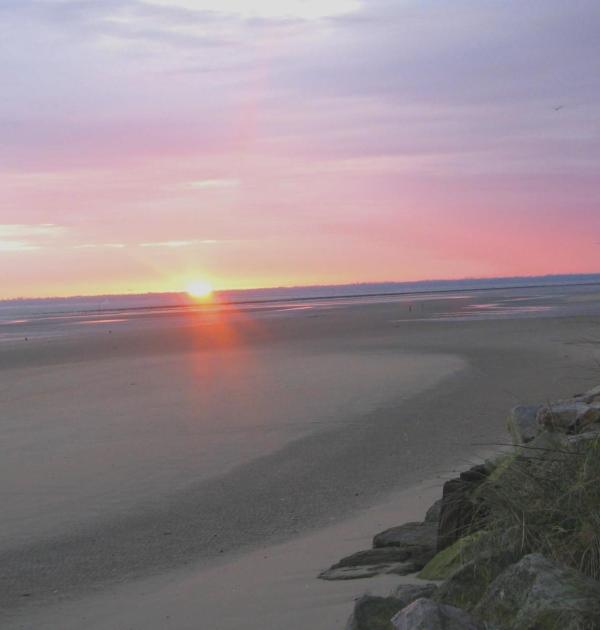 Hoofdfoto Flower Camping Les Utah Beach