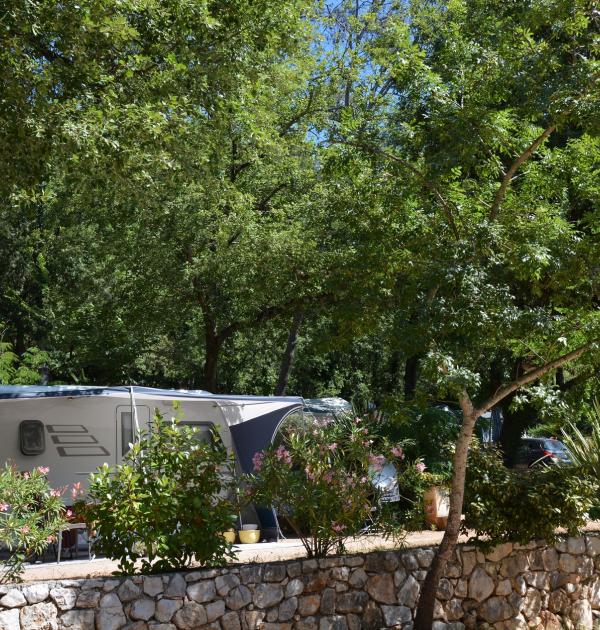 Hoofdfoto Camping Sites Et Paysages Les Pinèdes
