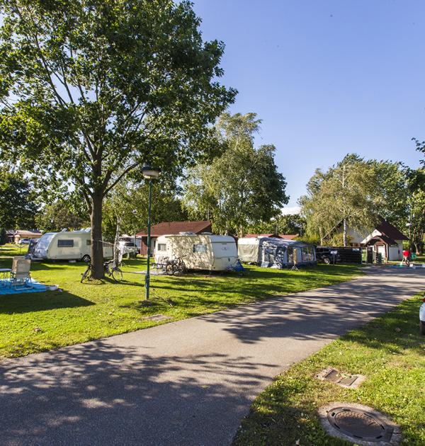 Hoofdfoto Camping Terme 3000