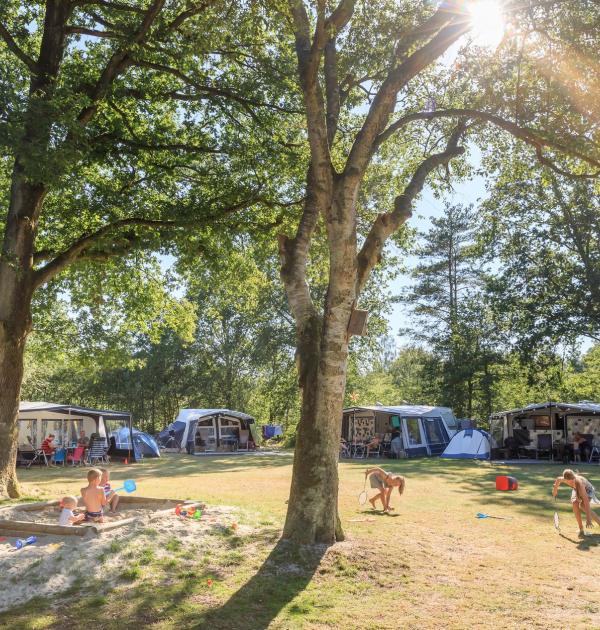 Hoofdfoto Rcn Vakantiepark De Roggeberg