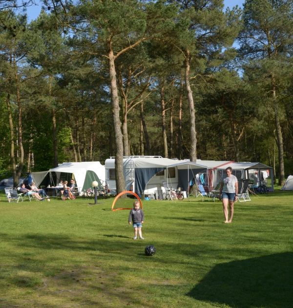 Hoofdfoto Europarcs De Wije Werelt