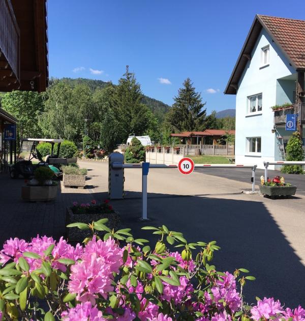 Hoofdfoto Flower Camping Les Bouleaux