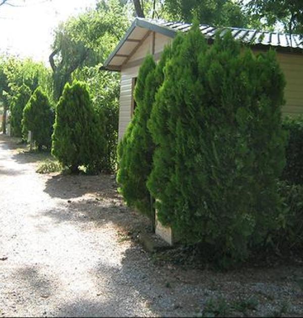 Hoofdfoto Camping Le Pilon D'agel