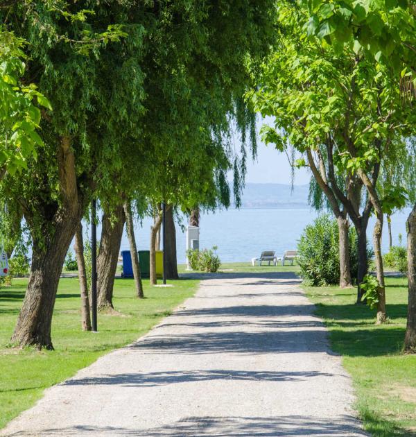 Hoofdfoto Camping Trasimeno