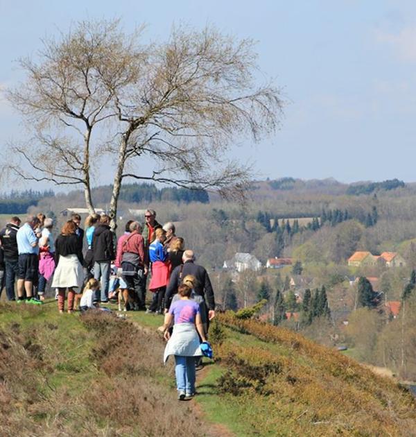 Hoofdfoto Bryrup Camping