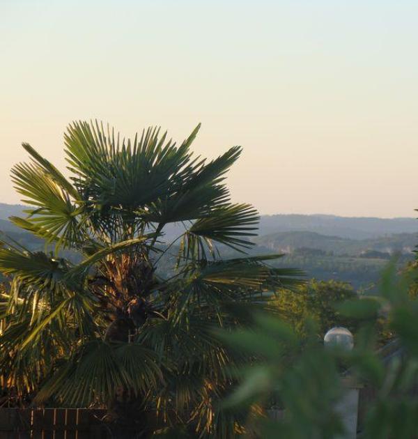 Hoofdfoto Camping Le Daguet