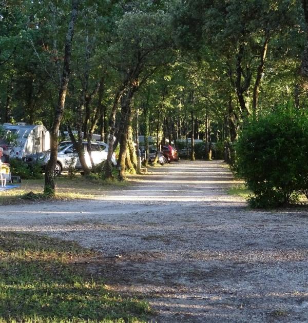 Hoofdfoto Flower Camping Les Truffières