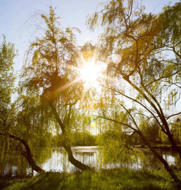 Hoofdfoto Camping La Comtesse