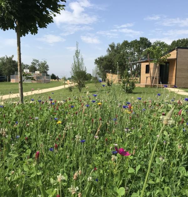 Hoofdfoto Camping L'offrerie