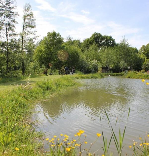 Hoofdfoto Camping Geelenhoof