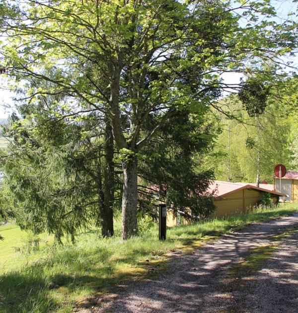 Hoofdfoto Camping Le Lac De Saint-point Lamartine