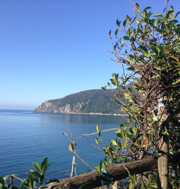 Hoofdfoto Camping Il Rospo
