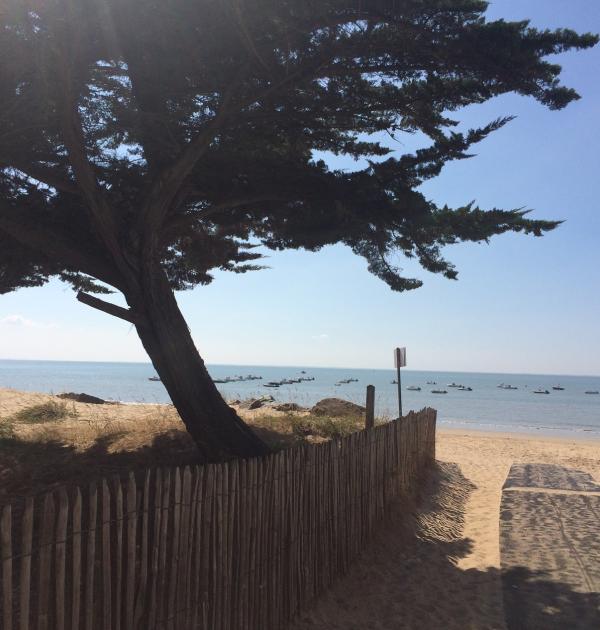 Hoofdfoto Camping La Grande Vallée