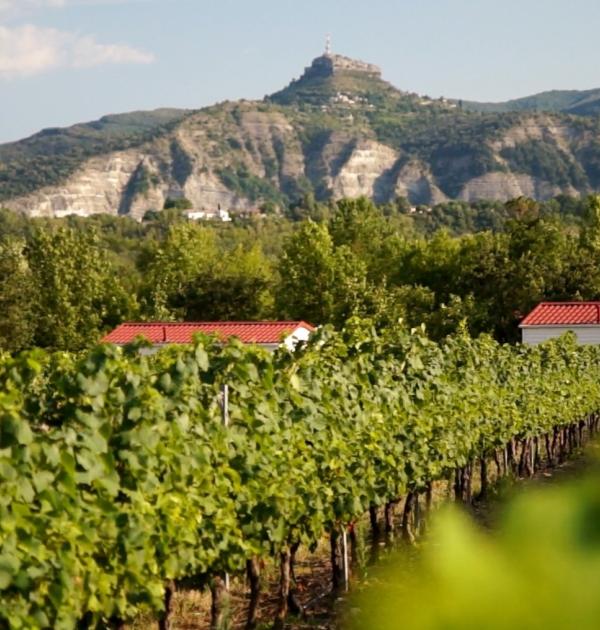 Hoofdfoto Camping De Peyroche