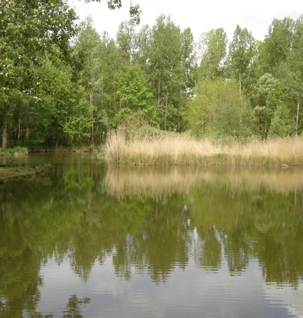 Hoofdfoto Le Cattiaux Camping