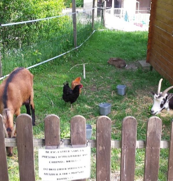 Hoofdfoto Camping Le Grand Cerf