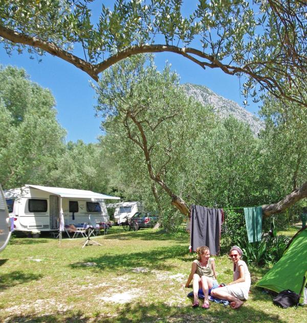 Hoofdfoto Camp Viter