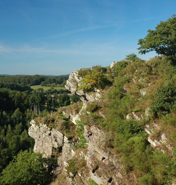 Hoofdfoto Camping De La Rouvre