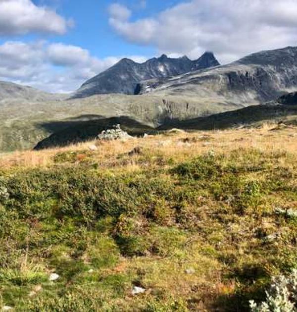 Hoofdfoto Tindevegen
