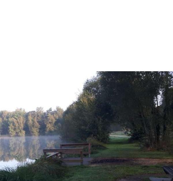 Hoofdfoto Étang de Pont Berthois