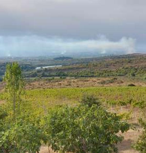 Hoofdfoto Albanica winery en restaurant