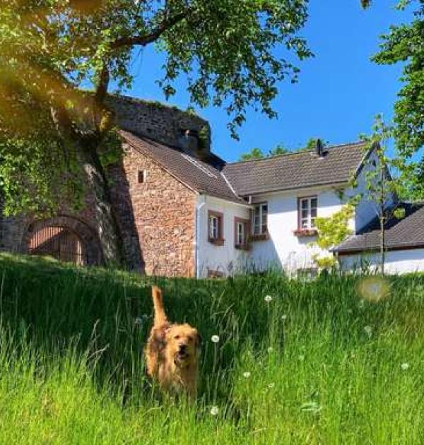 Hoofdfoto Bertradaburg Mürlenbach