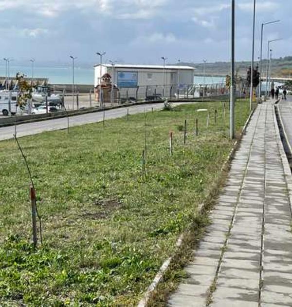 Hoofdfoto Port Sarafovo