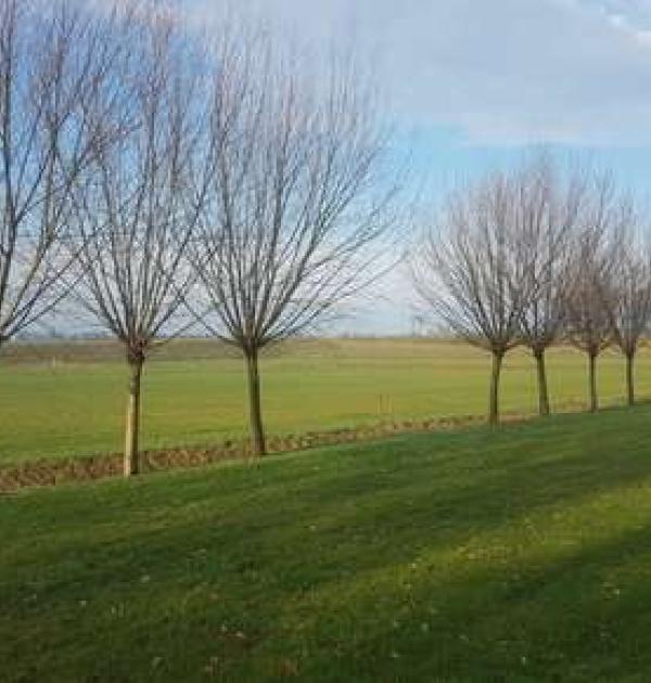 Hoofdfoto Camperplaats Erve Kievit