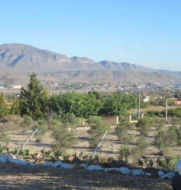 Hoofdfoto Casa Las Adelfas