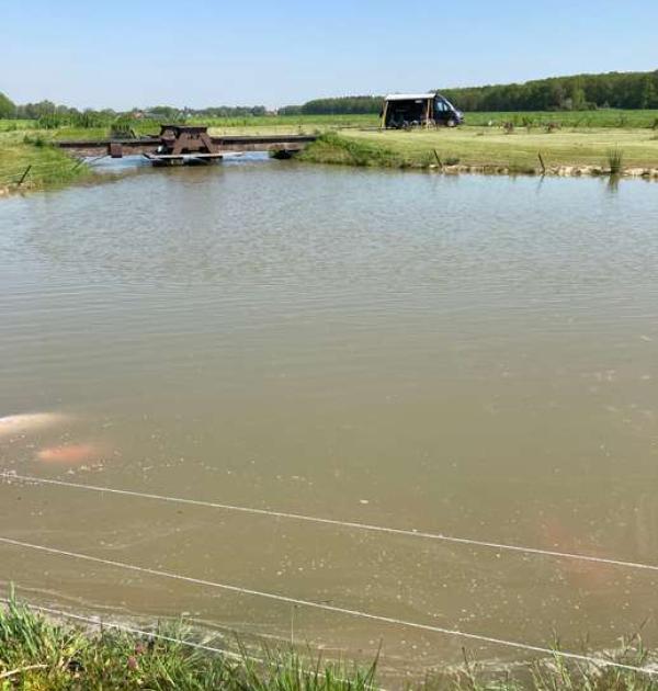 Hoofdfoto Camperplaats De Leemvijver
