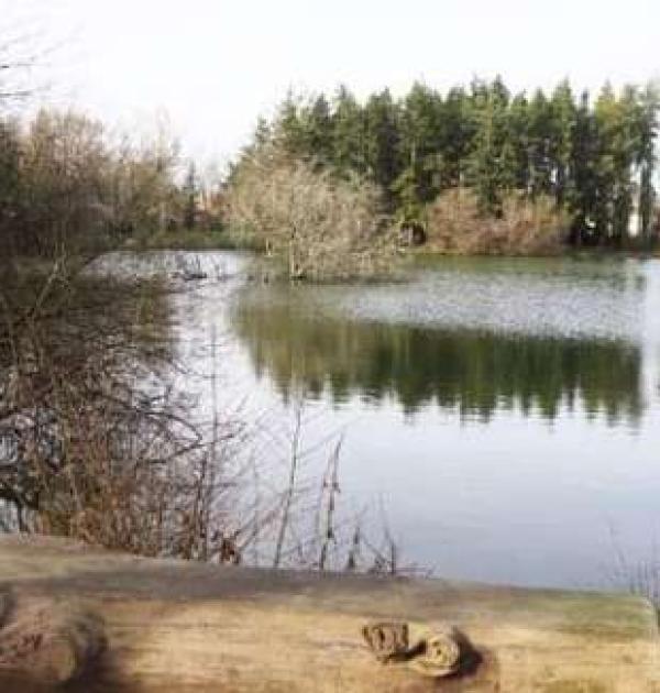 Hoofdfoto Aire Camping-Car Park de Bouaye