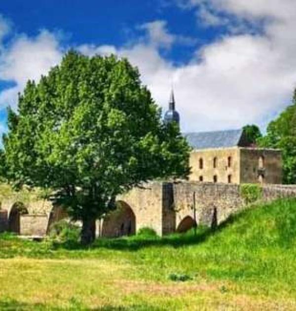 Hoofdfoto Aire CAMPING-CAR PARK de Montfort-le-Gesnois