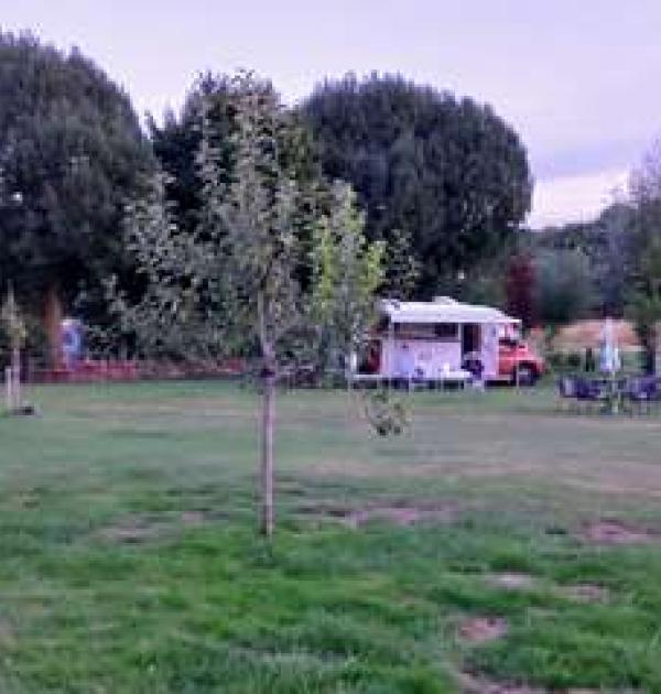 Hoofdfoto Camperplaats The Hive