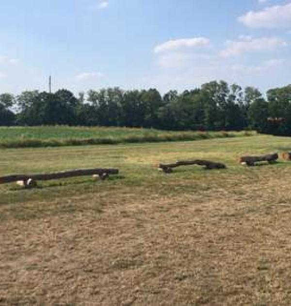 Hoofdfoto Spargelhof Kremmen