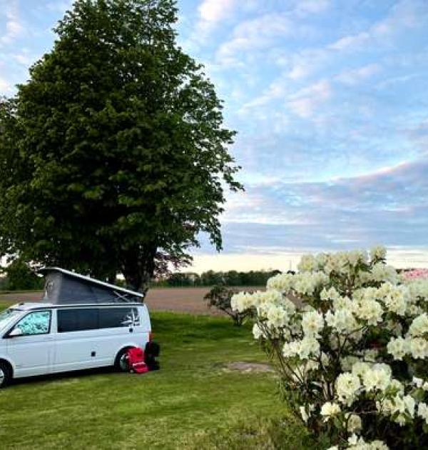 Hoofdfoto Fermedelesseye