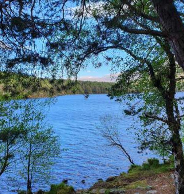 Hoofdfoto Park Loch an Eilein