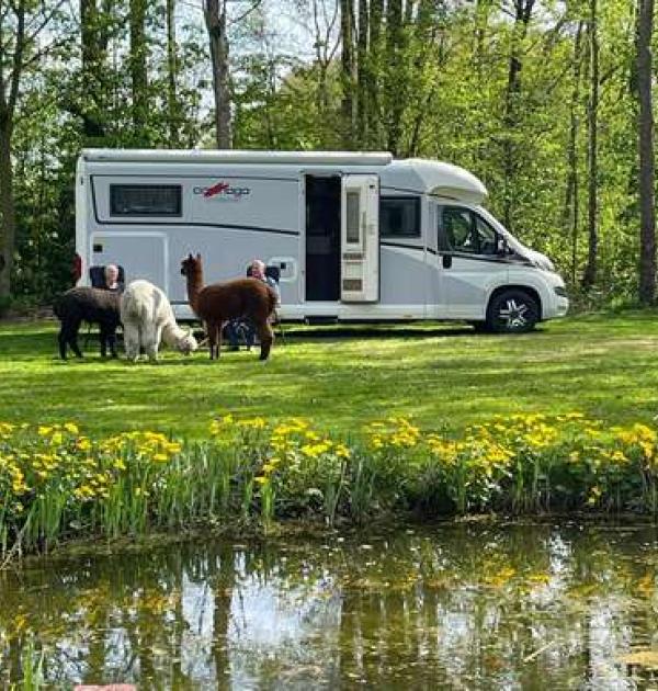 Hoofdfoto Alpaca-World  Camperplaats