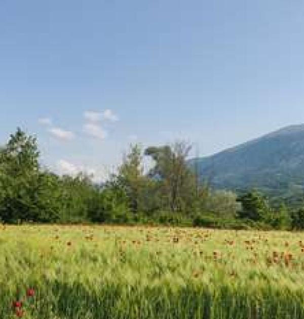 Hoofdfoto Ferma Grand Albanik