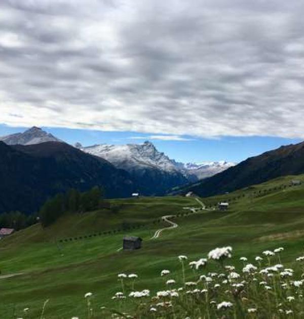 Hoofdfoto Bergcamp Hofstatt