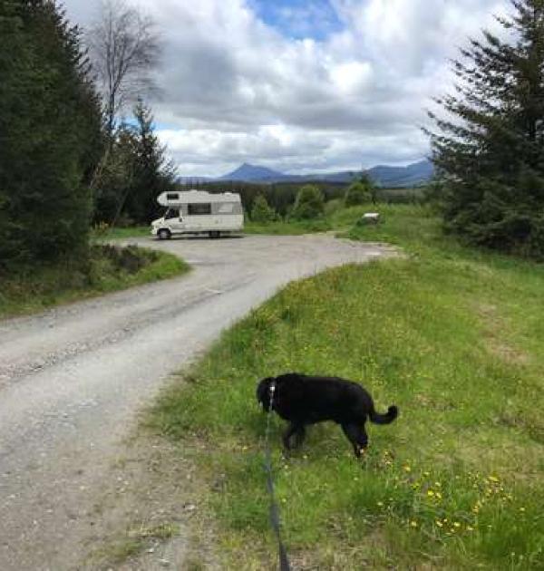 Hoofdfoto Parking Griffin Forest