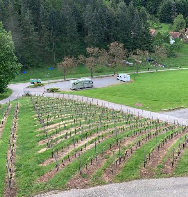 Hoofdfoto Weingut von Neveu