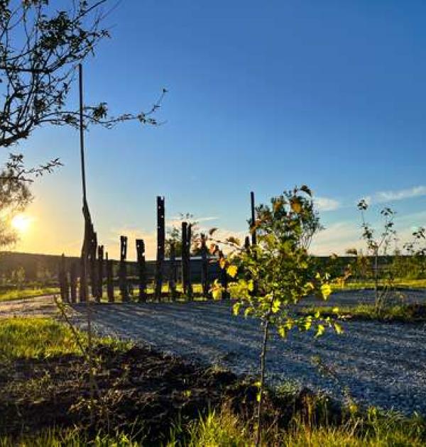 Hoofdfoto Hemisfeer - Nachttuin Westhoek, camperplaats
