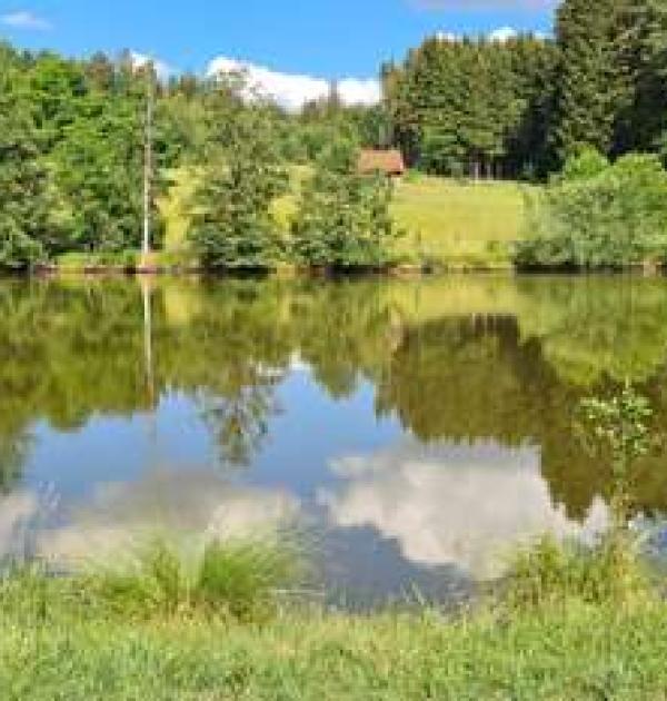 Hoofdfoto Camperplaats Aussiedlerhof