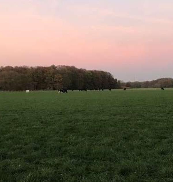 Hoofdfoto Camperplaats Het Hoge Boekel