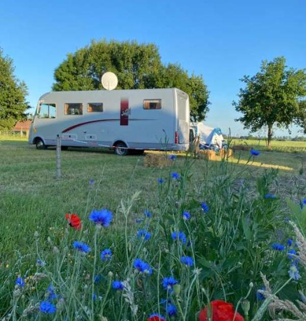 Hoofdfoto Camping 't Houtland